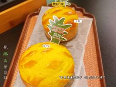-羽鸽集·乳鸽专门店·地道顺德菜(岭南站店)