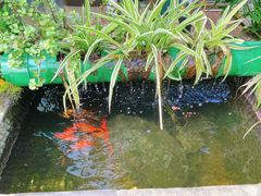 -胡桃里乐队酒馆(鎏嘉码头店)