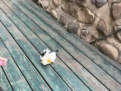 -北京水岸山吧度假村(雁栖镇店)