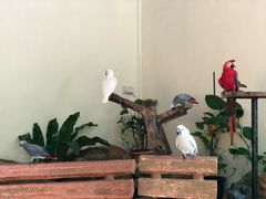 -吉隆坡雀鸟公园