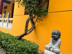-挂甲禅寺