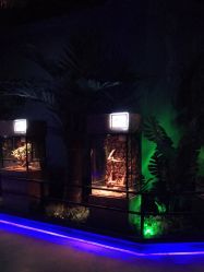 -未来动物城动物主题公园(大悦城店)