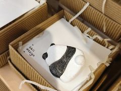 -轩客会(熊猫书店)