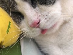 -美迦爱-牙专科·兔科·骨科诊疗中心(北苑店)