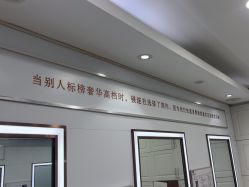点击看大图 -镁连社·美联社