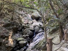 -梧桐山风景名胜区