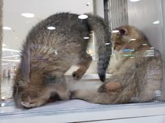 -乐宠宠物店(世纪金源店)