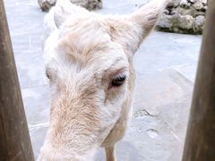 -金沙遗址博物馆