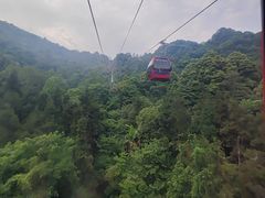 -青城山