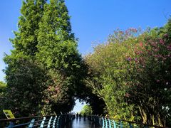 -上海吴淞炮台湾国家湿地公园