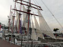 -新加坡水上探险乐园