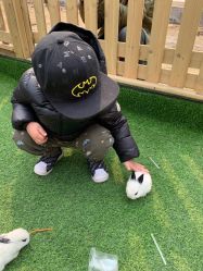 -萌宠亲子动物乐园(槐房万达店)