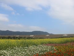 -光明小镇欢乐田园