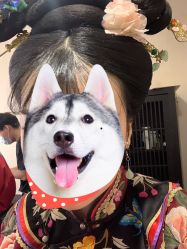 -盘子女人坊古装写真摄影(天津总店)