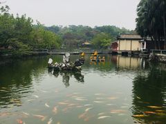 -星湖旅游景区七星岩