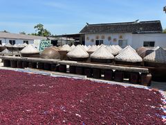 -苏州市吴中区光福窑上花果蜜饯厂