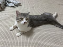 -联合动物医院(光谷诊疗中心)