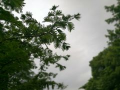 -九里河湿地公园