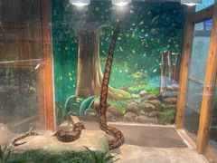 -上海昆虫博物馆