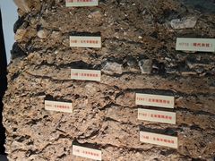 -南越王博物院(王宫展区)
