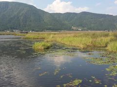 -腾冲北海湿地