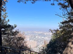 -惠山国家森林公园