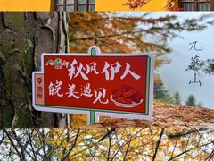 -九华山风景区