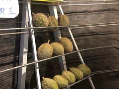 -都念榴莲·城市榴莲