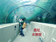 -黄金海岸