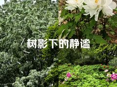 -河南省黄河迎宾馆