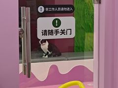 -PO PARK东方宝泰