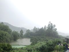 景观位-天强农家菜馆