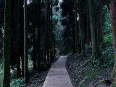 -青城山