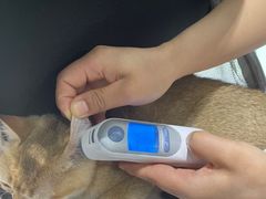 -心仪动物医院·牙专科·肿瘤·心脏科(西客站院)