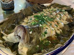 -呼吸森林·生态农庄农家乐私房菜