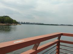 -丁香湖公园