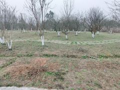 -桤木河湿地公园