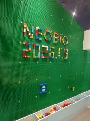 -奈尔宝家庭中心·亲子餐厅(华采天地店)