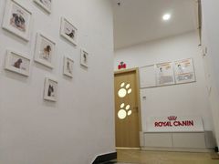 -创凡宠物医院·骨专科  猫科中心(西乡分院)