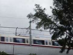 -宝安西湾红树林湿地公园