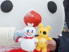 -少华山国家森林公园