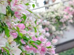 -广州市紫泥堂文化创意园景区