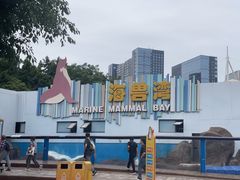 -海合安成都极地海洋公园