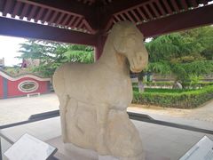 -茂陵博物馆