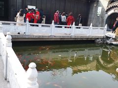 -梅园