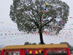 -嬉乐湾休闲旅游区