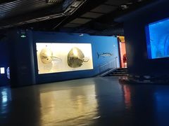 -重庆欢乐海底世界
