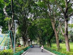 -东莞植物园