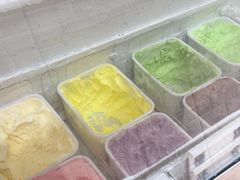 -成裕雪糕店(士多店)