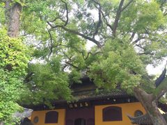 -西园戒幢律寺